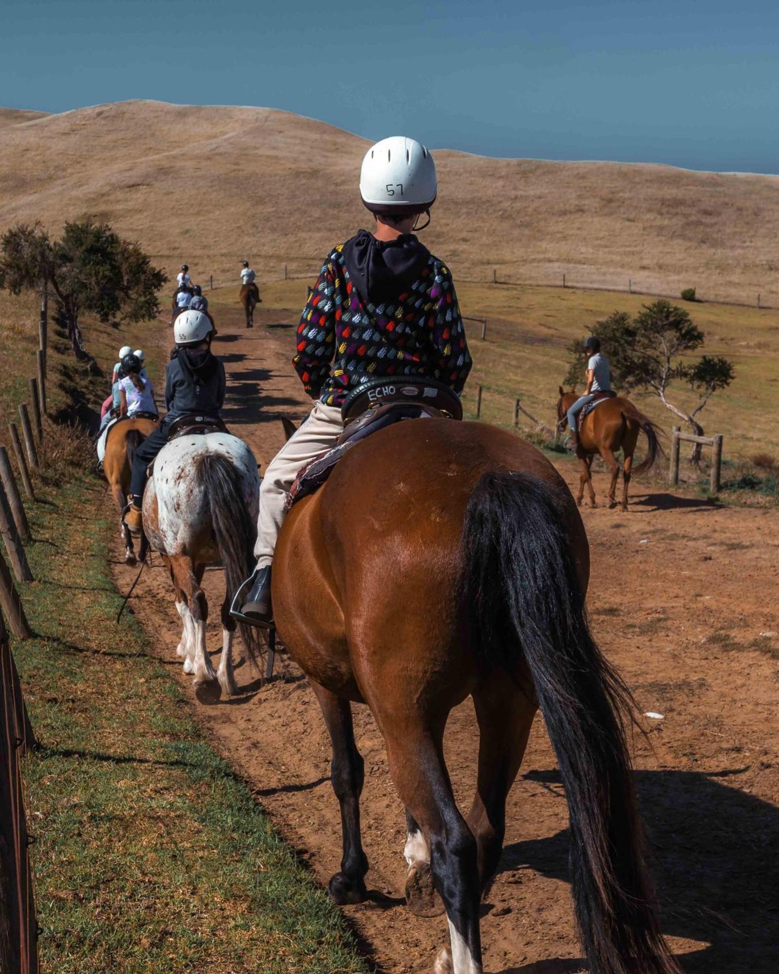 Villa The Ranch Mornington Peninsula Boneo Esterno foto